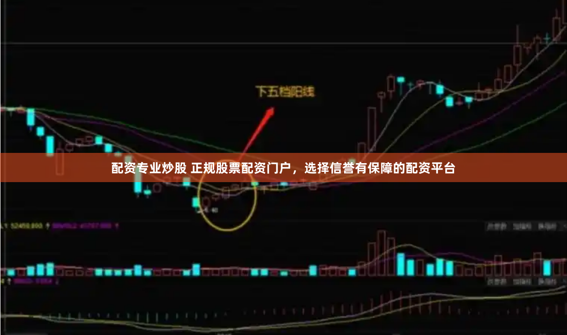 配资专业炒股 正规股票配资门户，选择信誉有保障的配资平台