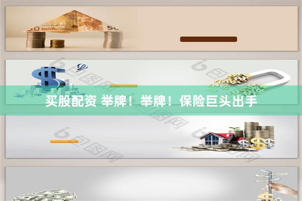 买股配资 举牌！举牌！保险巨头出手