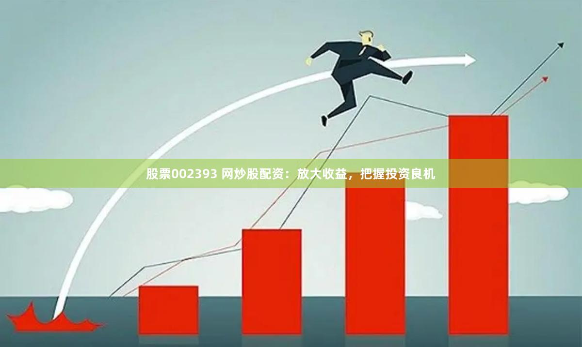 股票002393 网炒股配资：放大收益，把握投资良机